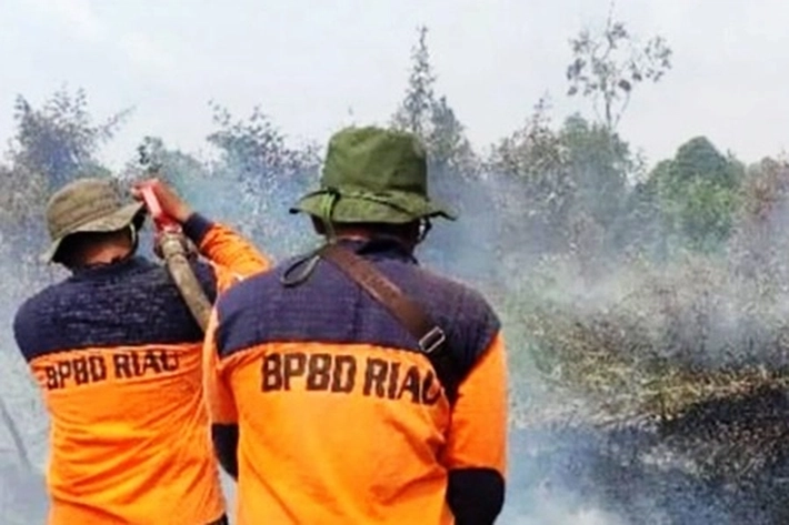 12 Kabupaten/Kota Tetapkan Status Siaga Darurat, BPBD Riau: Tim Darat Sudah Siap untuk Antisipasi Karhutla 