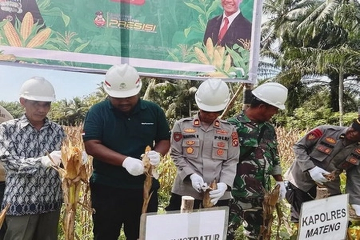 PT Astra Agro Lestari Panen Perdana Jagung untuk Dukung Ketahanan Pangan Nasional