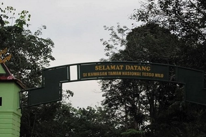 Rencana Relokasi Penduduk di TNTN Diharap Bisa Utamakan Prioritaskan Keadilan 