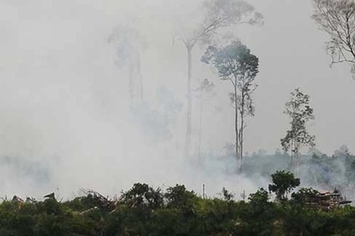 Titik Panas Terdeteksi Lebih Banyak di Sumatera Sore ini, 'Tersapu Bersih karena Hujan Lebat dan Angin Kencang'