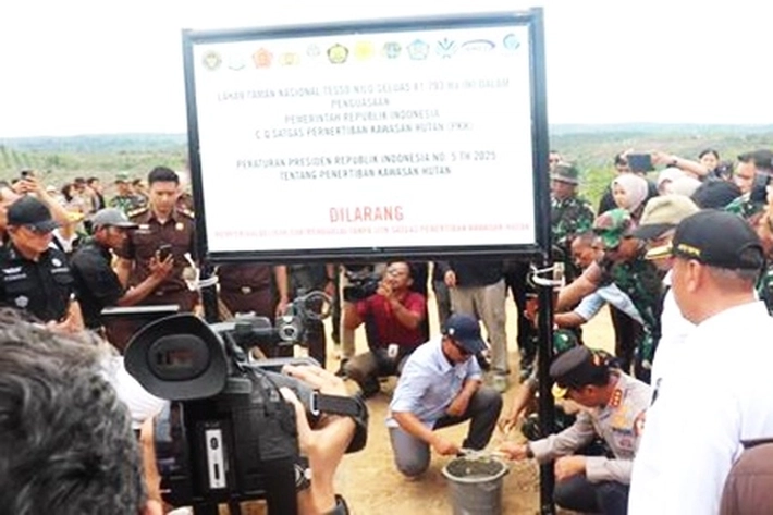 Satgas PKH Pasang Plang di Hutan Konservasi yang Sudah 'Hancur Babak Belur', 'Buat Nasib Ribuan Penggarap jadi Menderita Berkepanjangan'