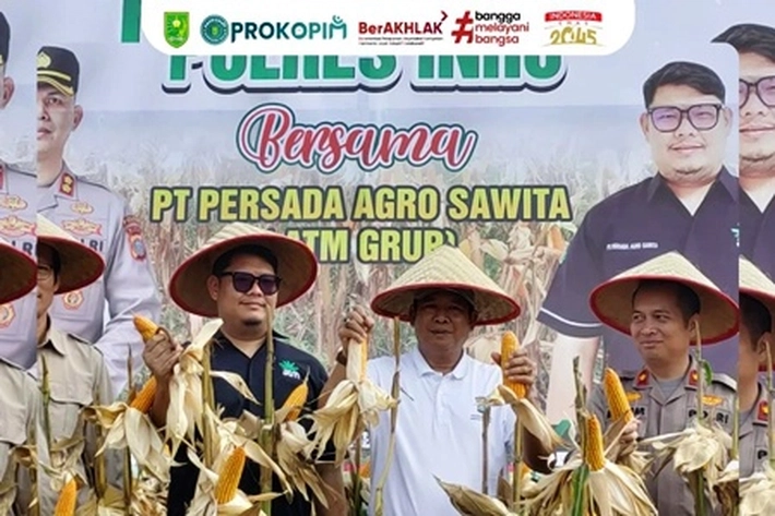 Panen Jagung Pipil Unggulan Kembali Digelar Polres Inhu di Lahan Ketahanan Pangan PT PAS