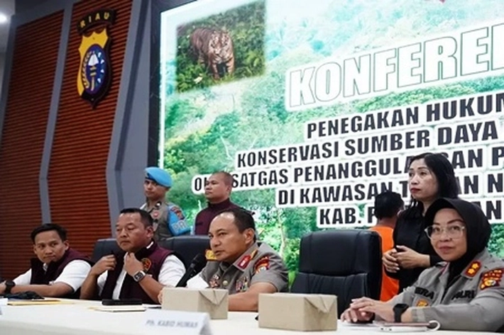 Polda Riau Bongkar Perambahan 113 Ribu Ha di TNTN yang Diapresiasi DPR RI 