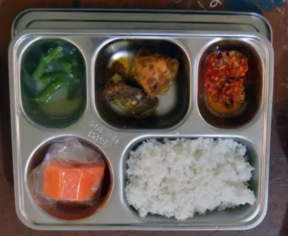 Ribuan Siswa Diduga Keracunan Makan Bergizi Gratis, Pakar Gizi: 'Program Itu Sebaiknya Dihentikan Sementara Waktu'