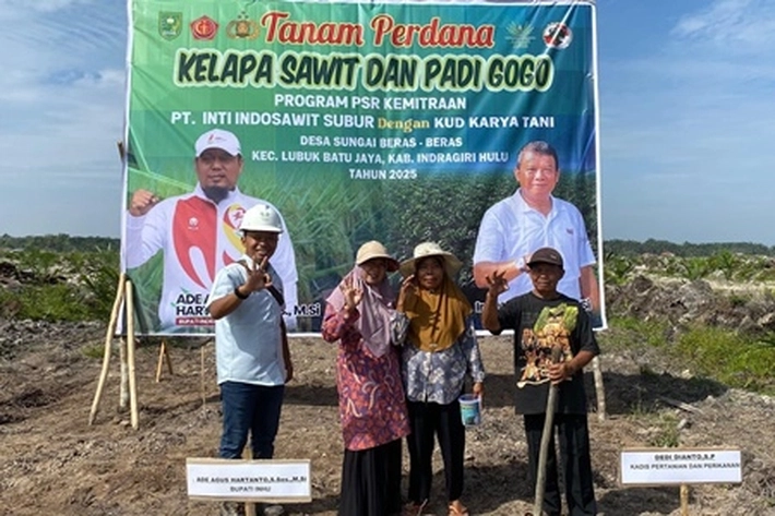 Asian Agri Tanam Padi Gogo Perdana untuk Ketahanan Pangan di Lahan Replanting Kebun Sawit