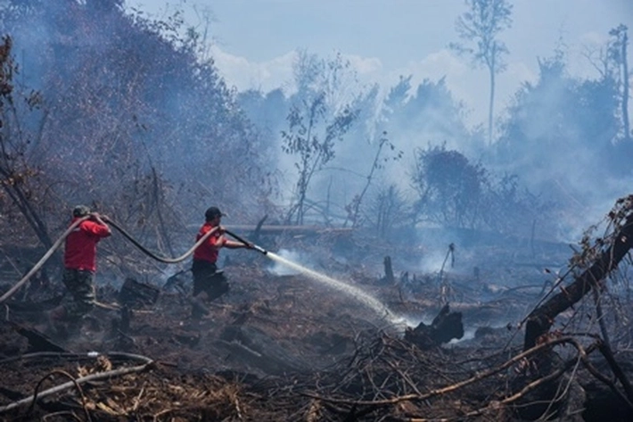 Karhutla Kembali Landa Riau yang Sudah 62 Kali Pengeboman Air, Tapi Sudah Hanguskan 308 Hektare