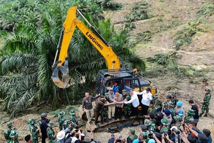 Sawit Ilegal Dimusnahkan untuk Memulihkan Kawasan Hutan TNTN