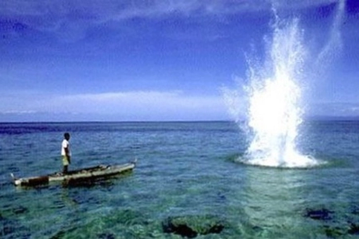 Warga Khawatir Ekosistem Laut Lingga Rusak karena Praktik Pengeboman Ikan Masih Terjadi