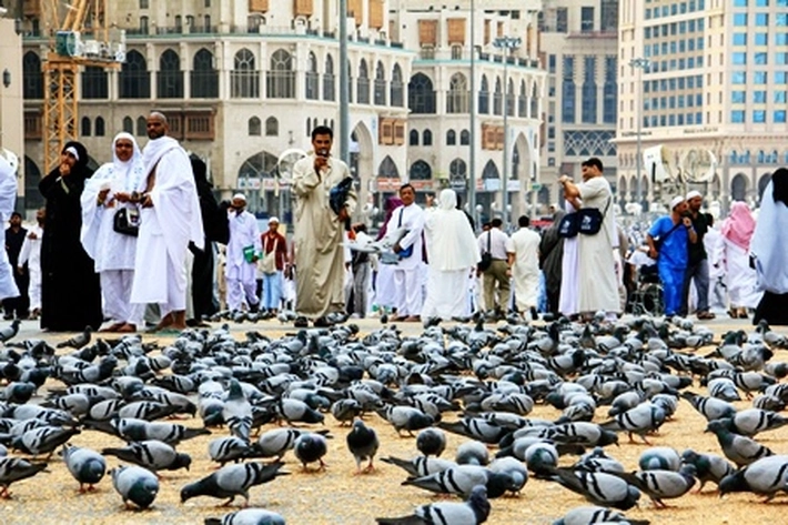 Arab Saudi akan Beri Sanksi Tegas pada Travel Umroh yang Langgar Aturan Merugikan Jamaah 