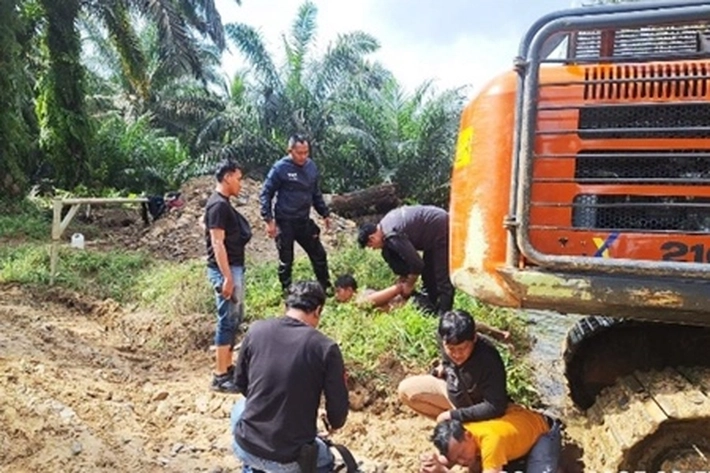 Kawasan Hutan Produksi Konversi-Terbatas di Inhu Banyak Dijarah, 'yang Dibabat jadi Kebun Sawit untuk Memperkaya Diri'
