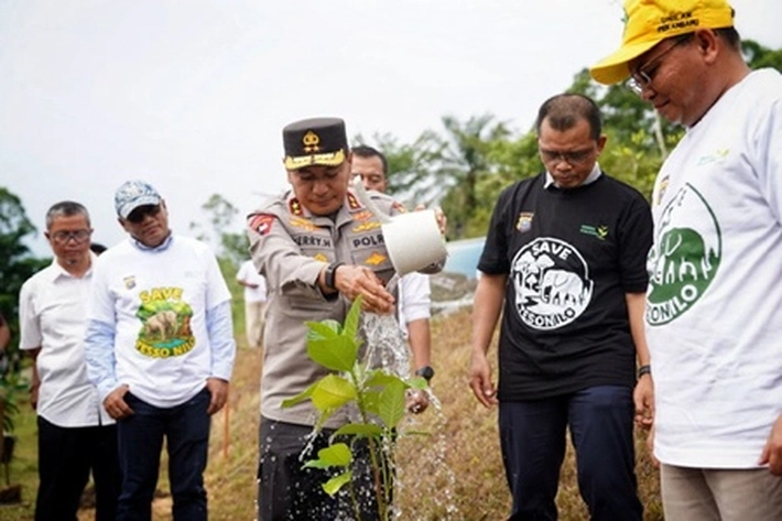 PLN UIP3B Sumatera Tanam Pohon Produktif di Universitas Lancang Kuning untuk Hijaukan Negeri