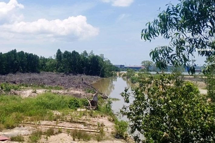 Sungai di Kawasan Marina Sekupang Alami Degradasi, 'Hutan Bakau Hilang, Warga Selalu Dilanda Banjir'