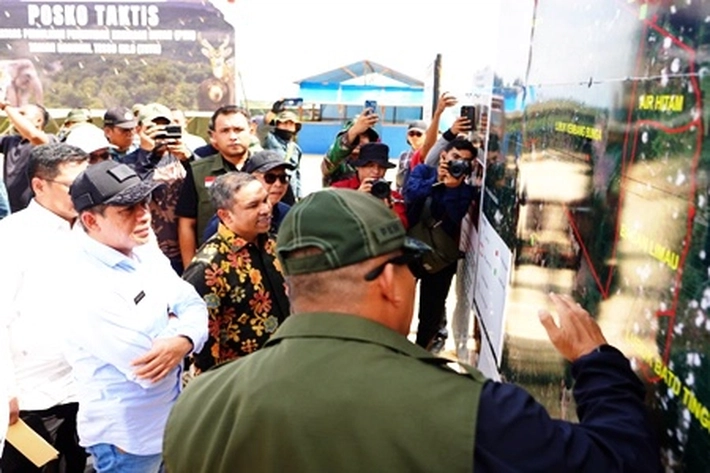 Menteri LH, Gubri dan Satgas PKH Cari Solusi Terbaik Terkait Gajah dan Harimau Sudah Terancam Punah