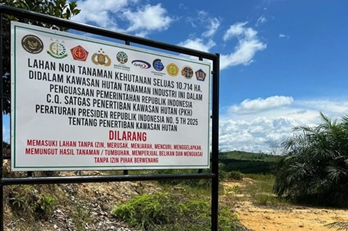 Satgas PKH Mulai Gencar Pasang Plang untuk Larangan Tanam Sawit dalam Areal Hutan Tanaman Industri