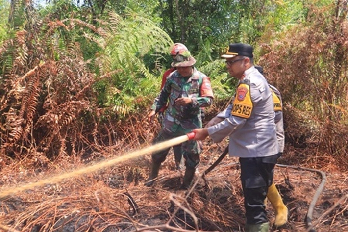 Seluas 7 Hektare Lahan Gambut di Kampar Terbakar, 'Tapi Pemiliknya Masih Misteri'