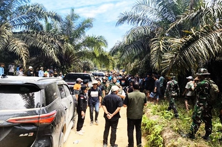 Anggota DPRD Pelalawan Telah Sadar Serahkan 415 Hektare Lahan Sawit di Kawasan TNTN ke Negara