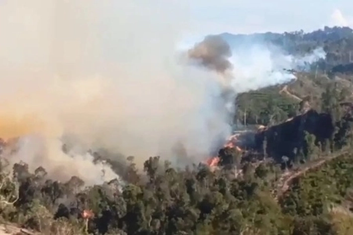 Kebakaran Hutan dan Lahan di Riau Meluas jadi Timbulkan Asap Pekat yang Juga Bisa Buat Sesak Nafas
