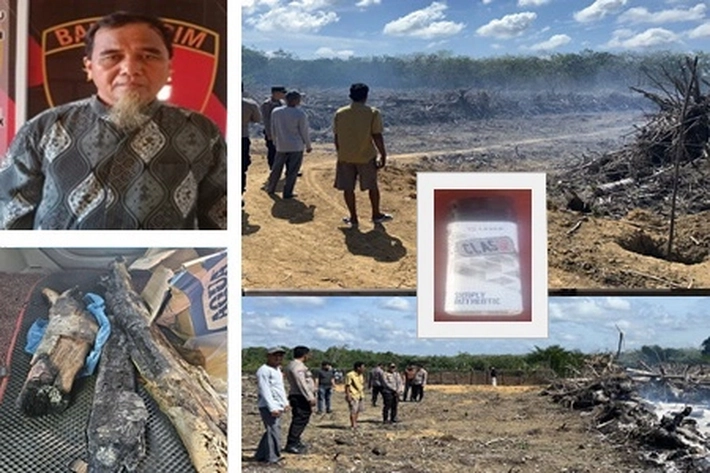Warga Kuansing Ditangkap Polisi Usai Bakar Lahan untuk Jadi Kebun Sawit