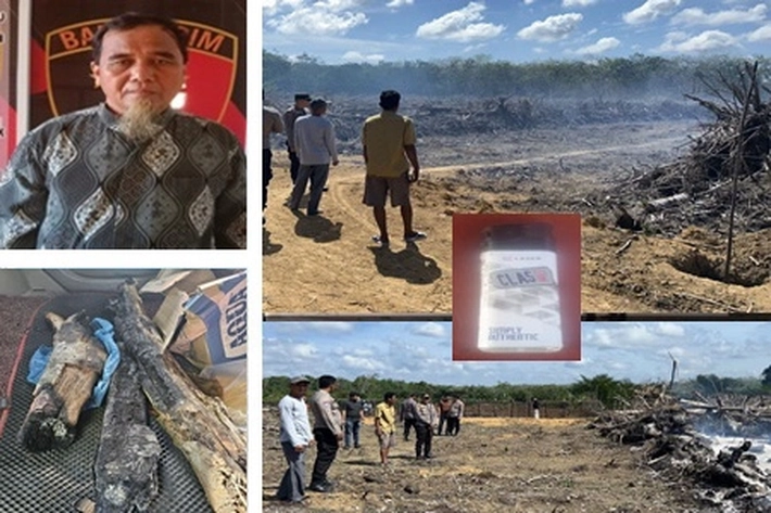 Warga Kuansing Ditangkap Polisi Usai Bakar Lahan untuk Jadi Kebun Sawit