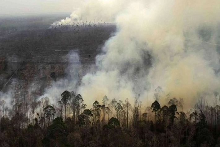 Titik Panas Karhutla di Riau Tambah Banyak, Helikopter Mi-8 Dikerahkan untuk Water Bombing 