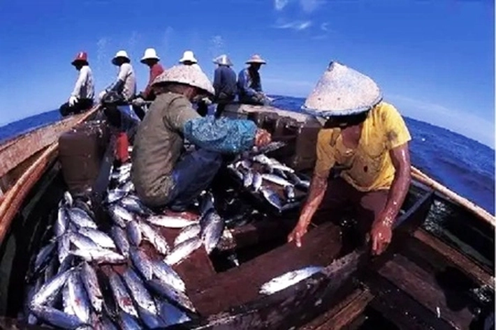 BPJPH Tegaskan Pentingnya Nilai Halal pada Budidaya dan Tangkap Ikan