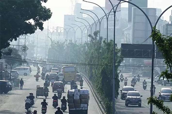 Camat, Lurah dan RT/RW Diminta Aktif Awasi Karhutla, 'yang Sudah Timbulkan Penyakit Gangguan Tubuh Hingga Serangan Asma'