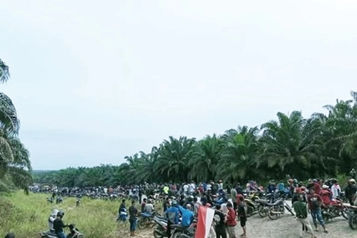 Pemprov Riau 'Mati-matian' Rebut Kebun Sawit Hasil Sitaan Kejagung, Relawan Prabowo Gibran: 'Kabar Baik Sekaligus Upaya yang Sia-sia'