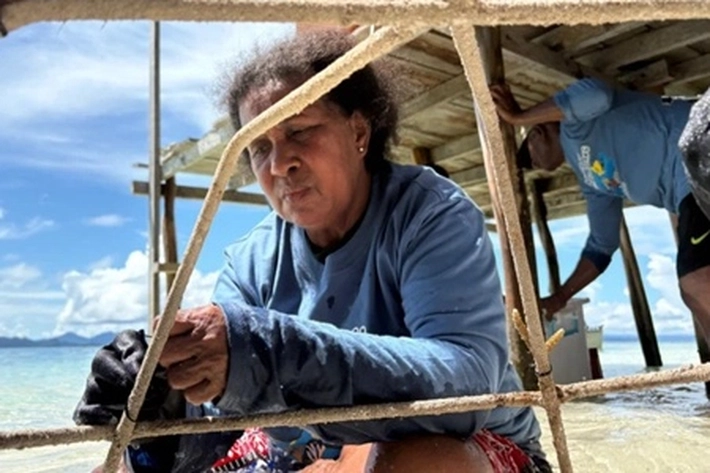 Kisah Perempuan Adat Merestorasi Terumbu Karang yang Rusak Akibat Insiden Caledonian Sky 