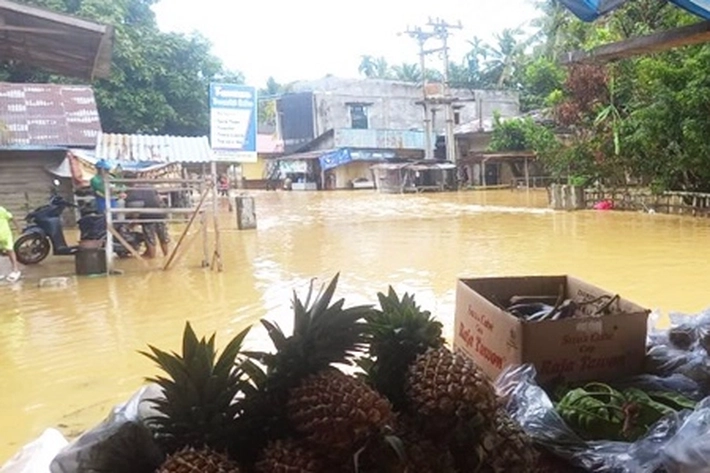Rumah Warga di Pelalawan Banyak yang Terendam Banjir karena Sungai Nilo Meluap
