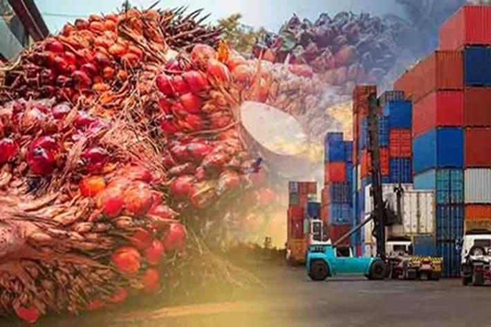 MA Batalkan Vonis Lepas Soal Kasus Ekspor CPO yang Dialami Wilmar, Permata Hijau dan Musim Mas Grup