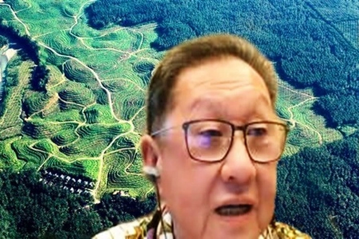 'Jatuh Bangun' Martias Fangiono Buat Dinasti Bisnis Keluarga Industri Sawit yang Kini Terjerat Kasus Pajak