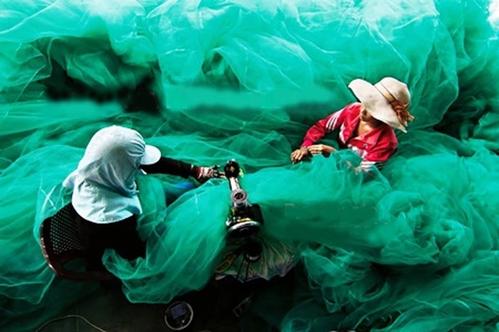 Ratusan Tenaga Harian Lepas Bakal Ditempatkan di Kecamatan dan Kelurahan