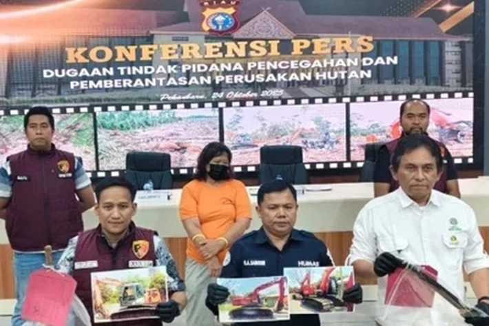 IRT Nekat Garap Kawasan Konservasi Cagar Biosfer Giam Siak Kecil, Jadi Ditangkap Polisi