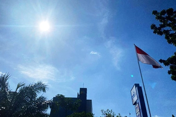 Cuaca Panas Ekstrem Landa Kota Pekanbaru Jadi Buat Kebakaran Lahan