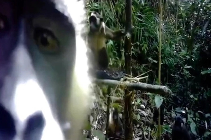 Cara Anak Muda Jaga Lingkungan Hutan dan Melestarikan Tradisi Budaya untuk Bertahan Ditengah Gempuran Modernitas