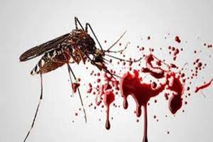 Demam Berdarah Dengue Meningkat Ditengah Masyarakat Pekanbaru