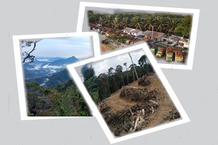 Satgas PKH Fokus Tertibkan Tiga Hutan Konservasi yang Menyebar di Riau