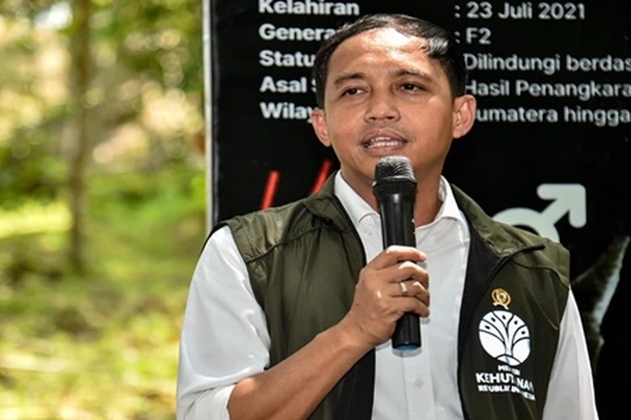 Menhut akan Berikan 1,4 Juta Ha untuk Masyarakat Adat, Tapi Diragukan Jika Praktik Perampasan Tidak Dihentikan