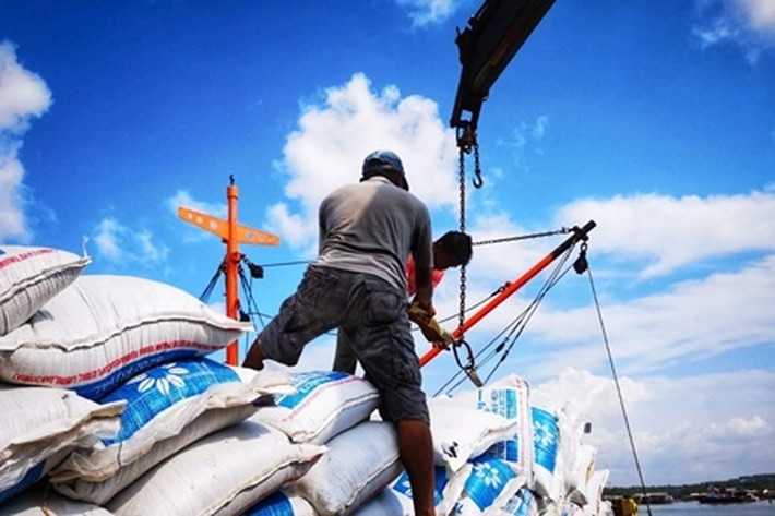 Kepri Perlu Optimalkan FTZ untuk Dongkrak Ekspor yang Sudah Alami Perlambatan Paling Tajam di Sumatera