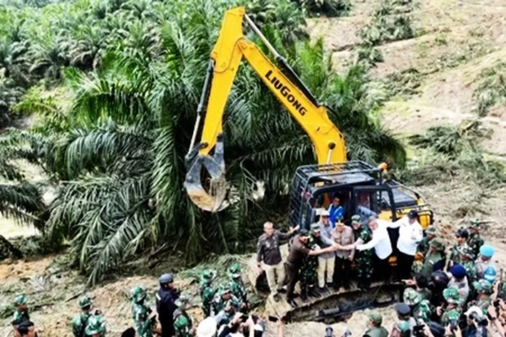 Satgas PKH Kuasai 3,3 Juta Hektare Lahan Sawit Ilegal, Tapi Praktik Penyitaan di Lapangan Masih Jadi Sorotan