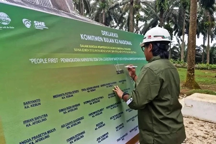 PT Tunggal Perkasa Plantations Manfaatkan Tanaman Tua Masih Berproduksi yang Ditanam Sejak 1979 