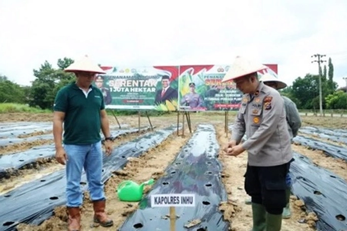 Di Inhu: Polisi Jalankan Program Tanam Jagung 1 Juta Hektar di Lahan HGU PT TPP