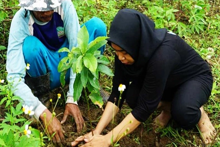 Islam Menekankan Pentingnya Memelihara Pohon 