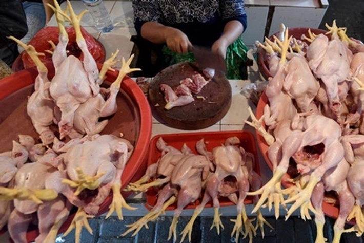 Harga Daging dan Ayam Meroket Menjelang Tahun Baru 2026