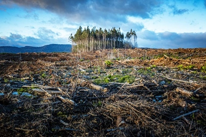 Krisis Ekologi karena Keinginan Ekonomi Berlebihan dan Kepudaran Spiritual