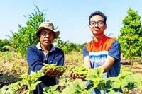 Kilang Pertamina Dumai Juga Kelola Pangan Lewat Pemberdayaan Petani Lokal