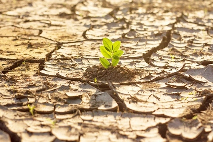 Ini Pemicu Kerusakan Alam yang Diakibatkan Perbuatan Manusia 