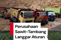 Satgas PKH Tarik Rp 5,2 Triliun dari 48 Perusahaan Sawit dan Tambang karena Langgar Aturan Kehutanan 
