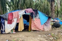 Lebih dari 165.000 Korban Banjir Sumatera Masih Bertahan di Tenda, 'karena Hunian Sementara Belum Memadai'