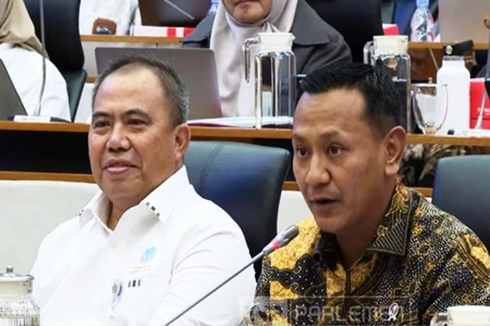 Didepan DPR RI, Wamenhut Ungkap Luasan Sawit Ilegal di Kawasan Hutan